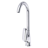 Kitchen sink faucets